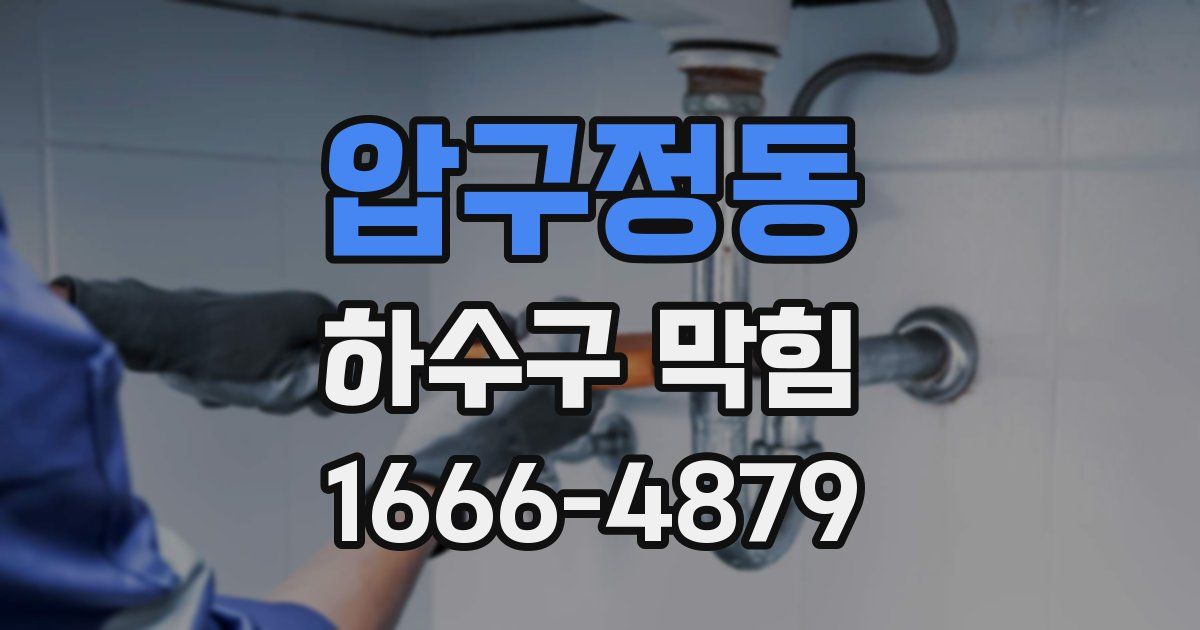 압구정동 하수구 막힘