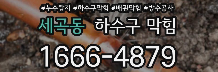 세곡동 하수구 막힘