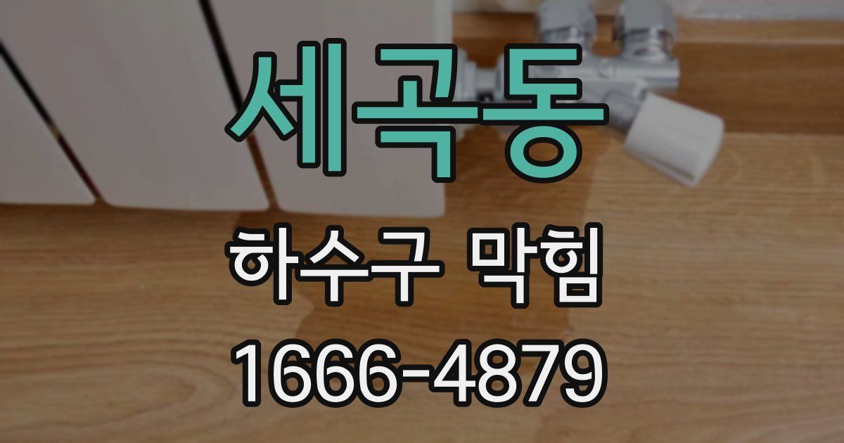 세곡동 하수구 막힘