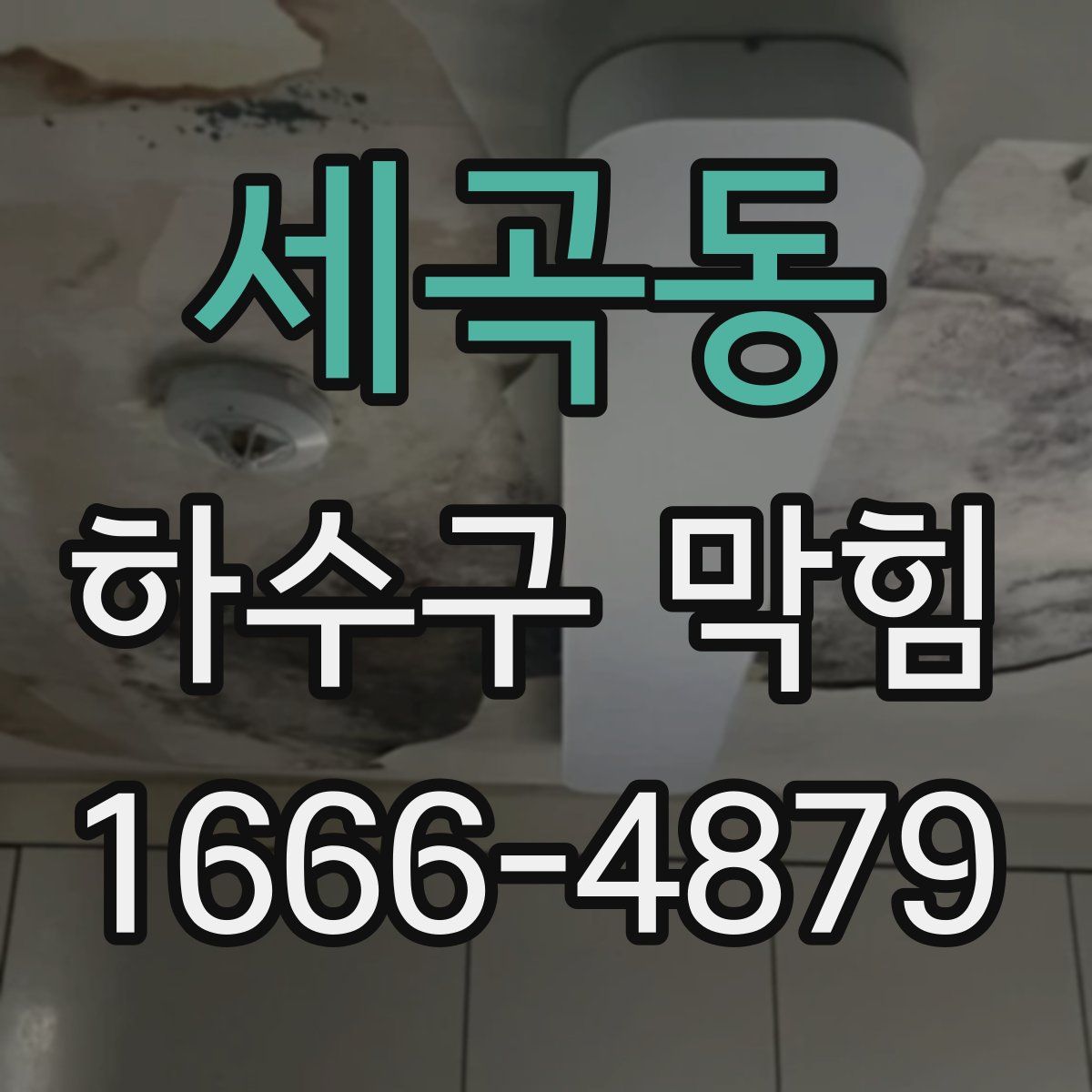 세곡동 하수구 막힘
