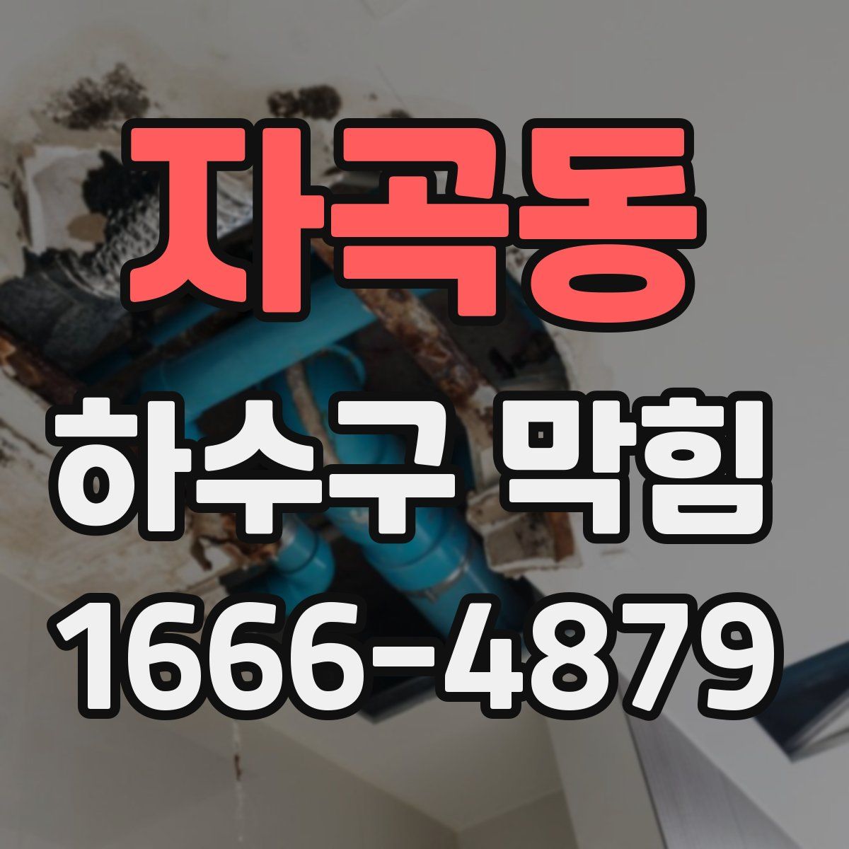 자곡동 하수구 막힘