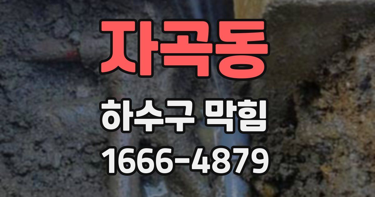 자곡동 하수구 막힘