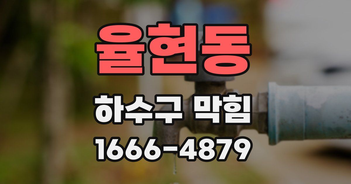 율현동 하수구 막힘