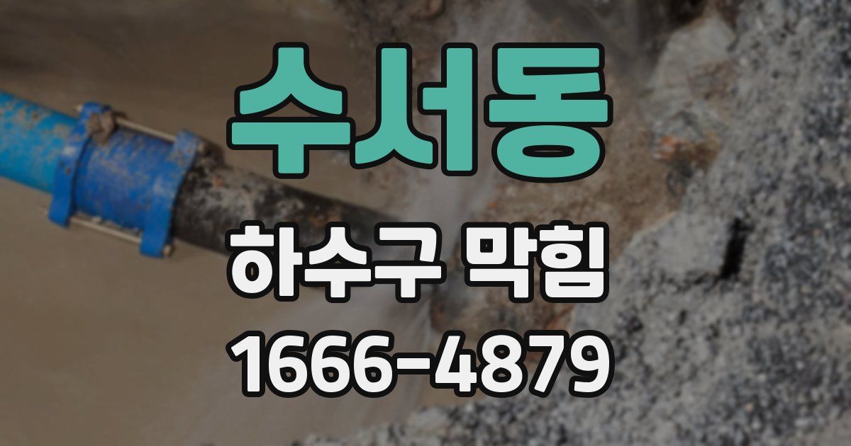 수서동 하수구 막힘