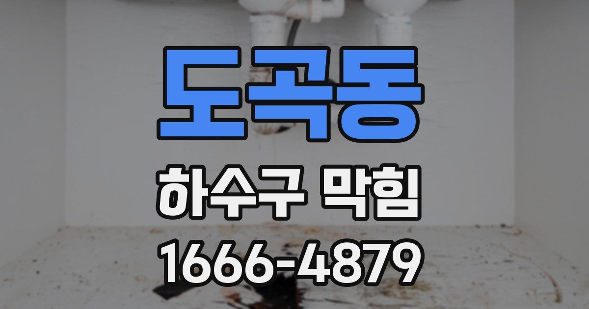 도곡동 하수구 막힘