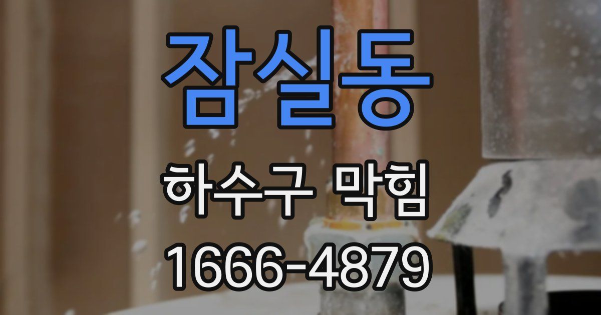 잠실동 하수구 막힘