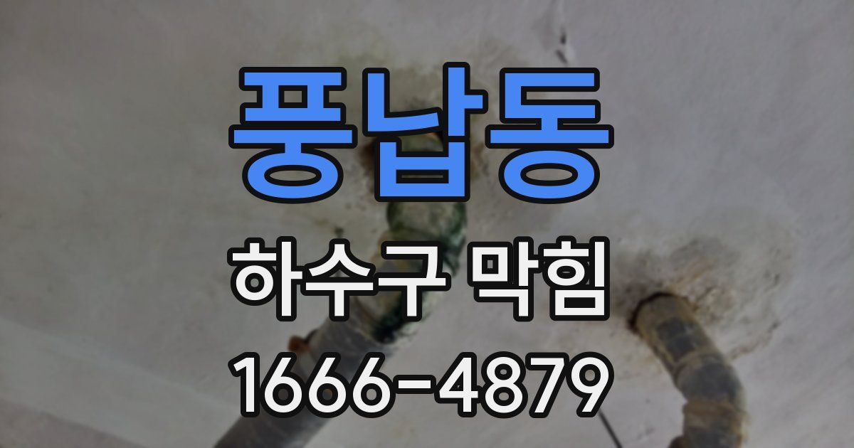 풍납동 하수구 막힘