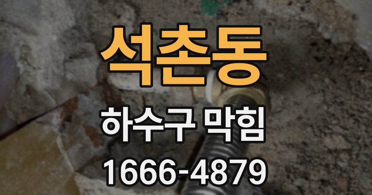 석촌동 하수구 막힘