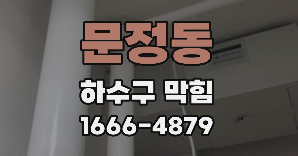 문정동 하수구 막힘