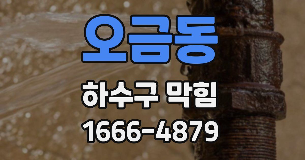 오금동 하수구 막힘
