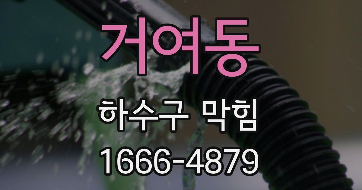 거여동 하수구 막힘