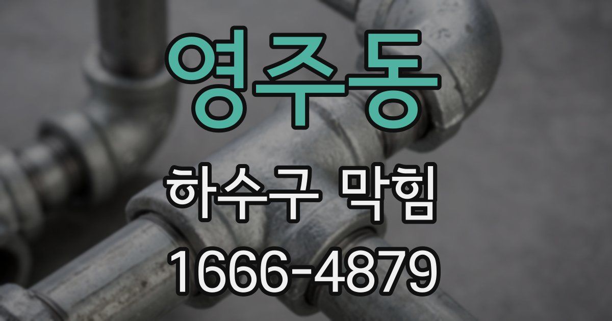 영주동 하수구 막힘
