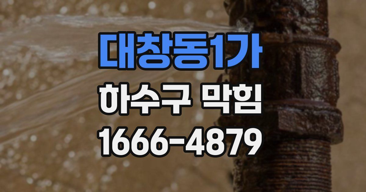 대창동1가 하수구 막힘