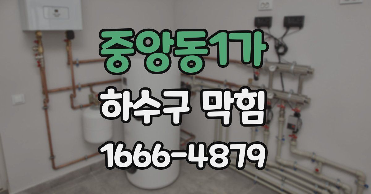 중앙동1가 하수구 막힘