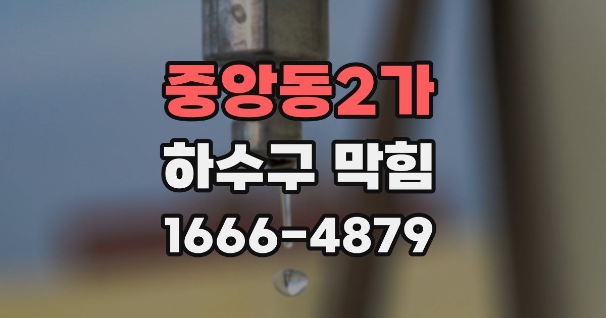 중앙동2가 하수구 막힘