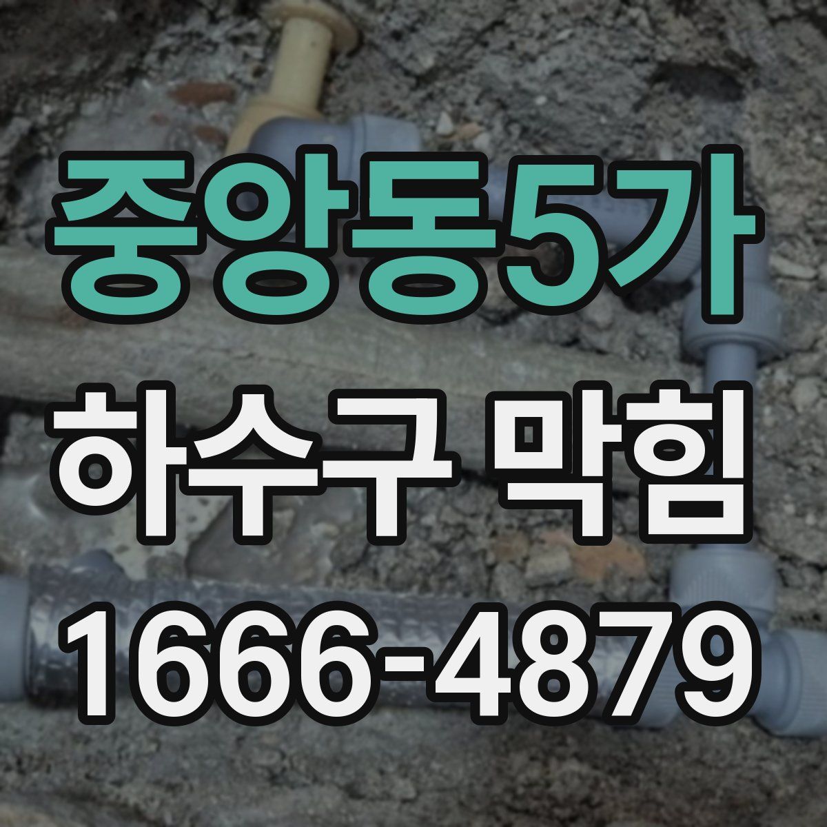 중앙동5가 하수구 막힘
