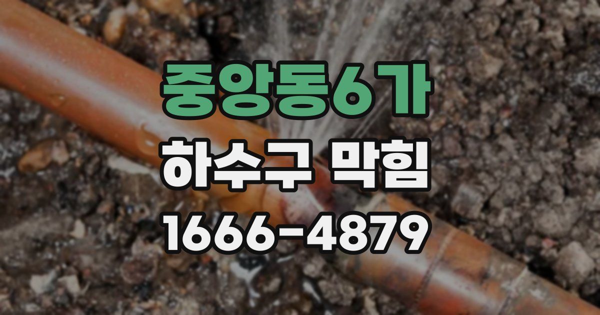 중앙동6가 하수구 막힘