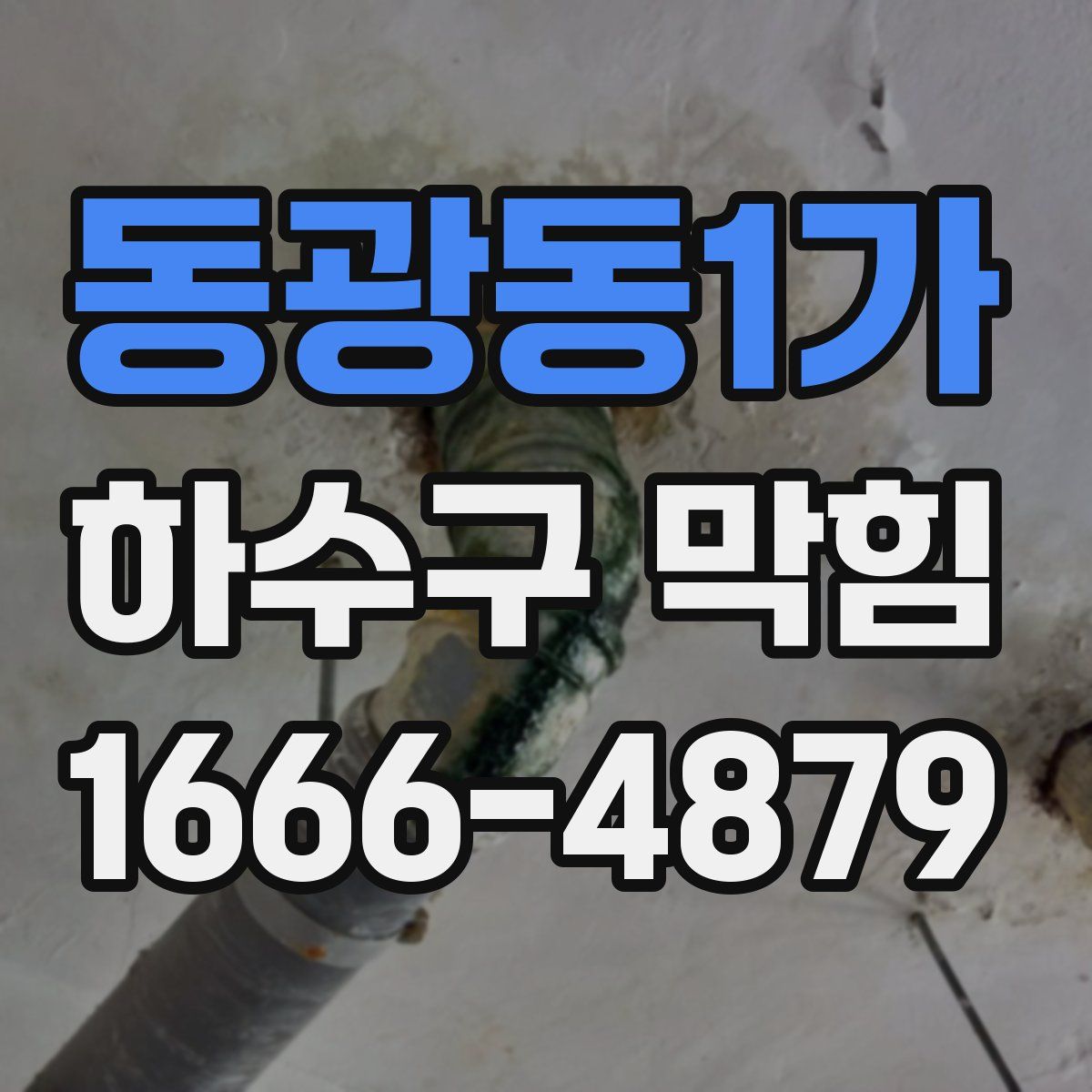 동광동1가 하수구 막힘