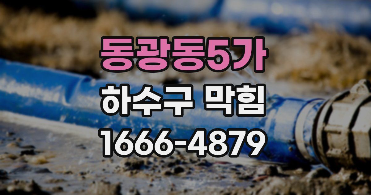 동광동5가 하수구 막힘