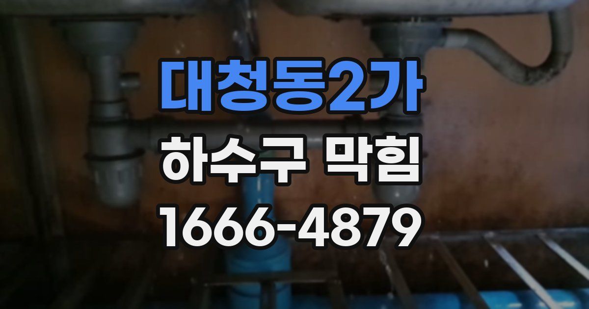 대청동2가 하수구 막힘