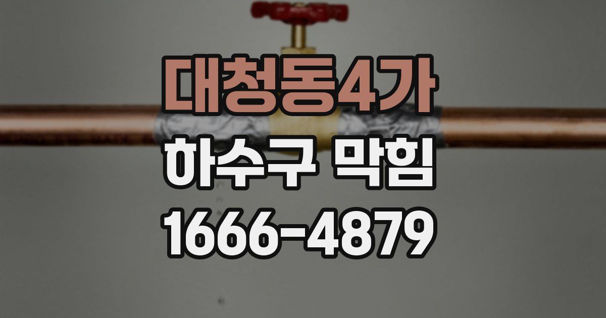 대청동4가 하수구 막힘