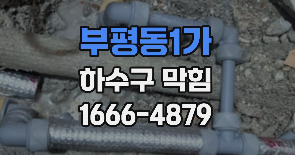 부평동1가 하수구 막힘