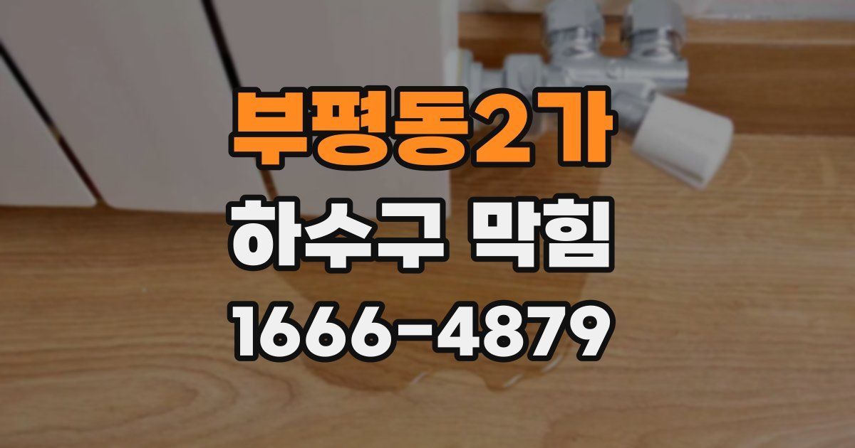 부평동2가 하수구 막힘