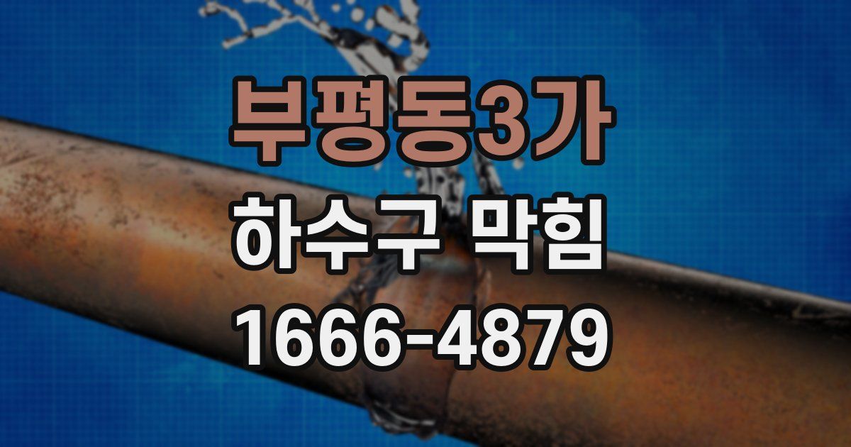 부평동3가 하수구 막힘