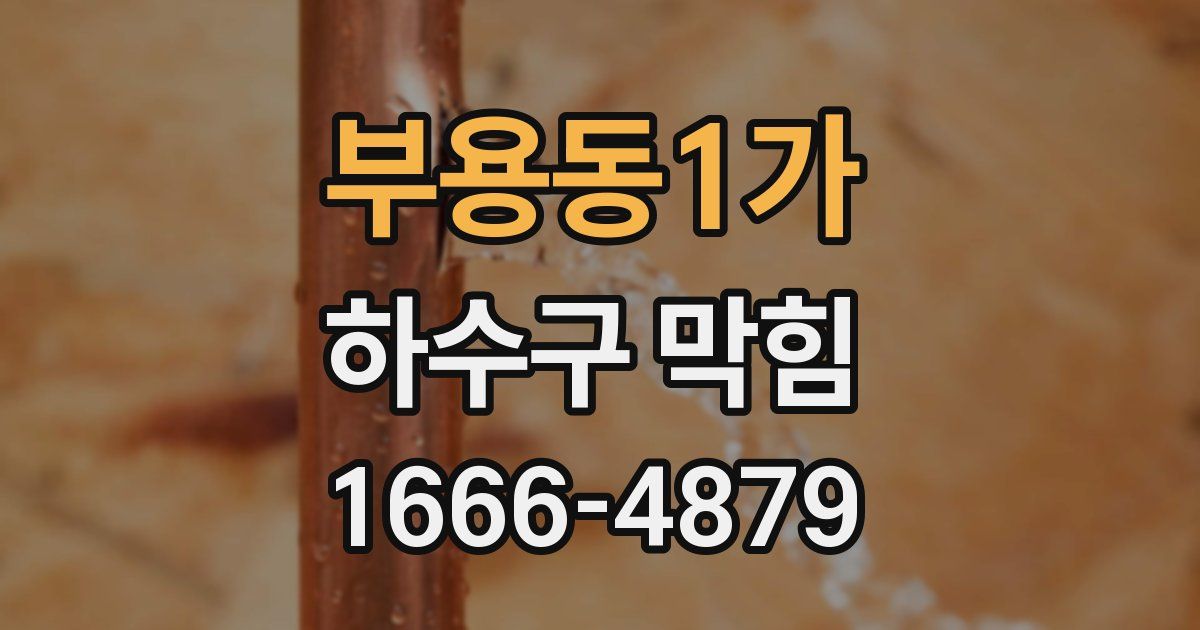 부용동1가 하수구 막힘