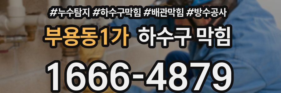 부용동1가 하수구 막힘