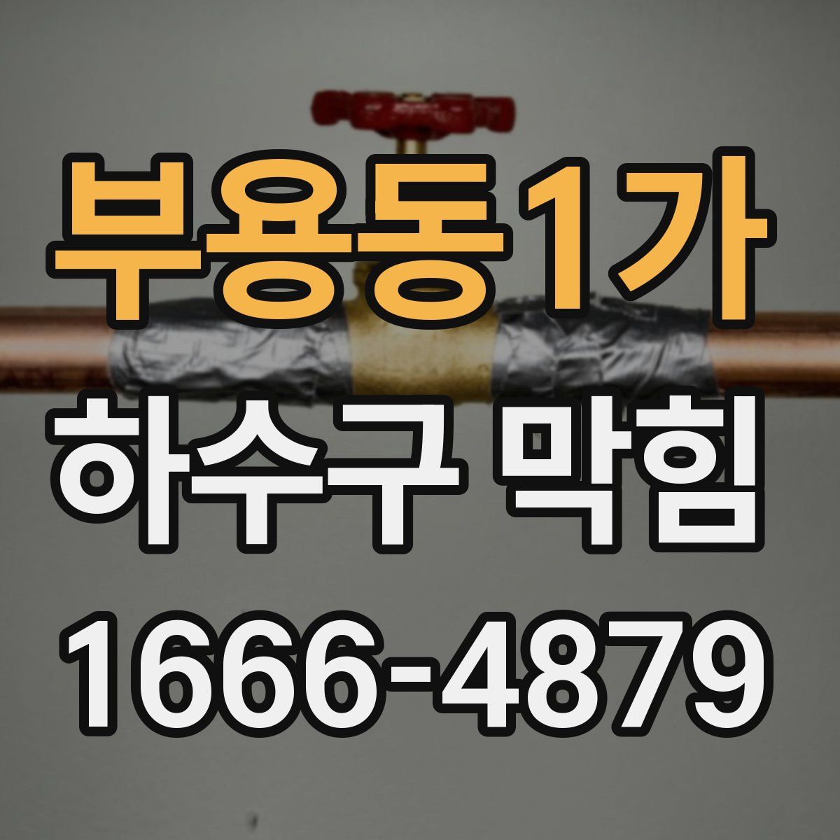 부용동1가 하수구 막힘