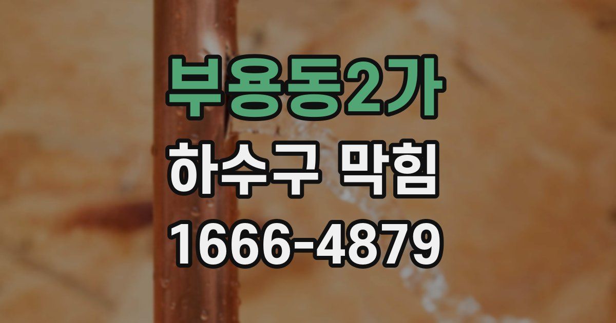 부용동2가 하수구 막힘