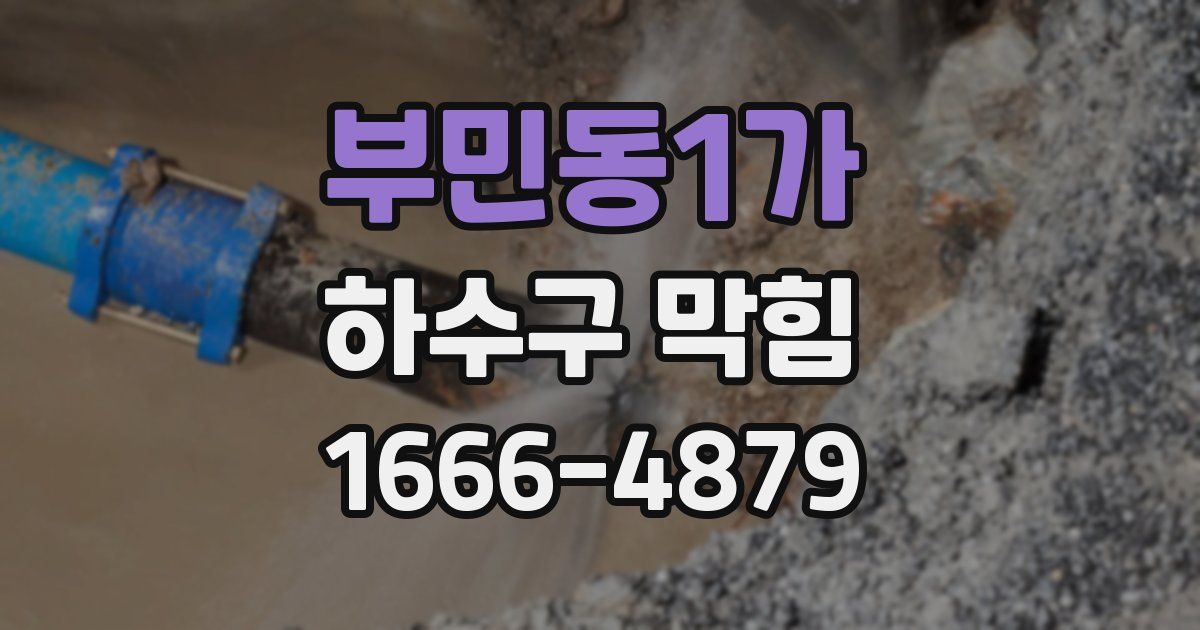 부민동1가 하수구 막힘