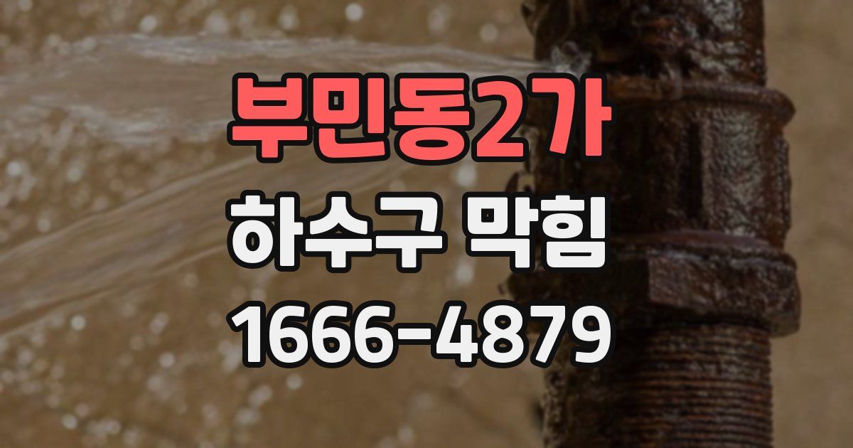 부민동2가 하수구 막힘