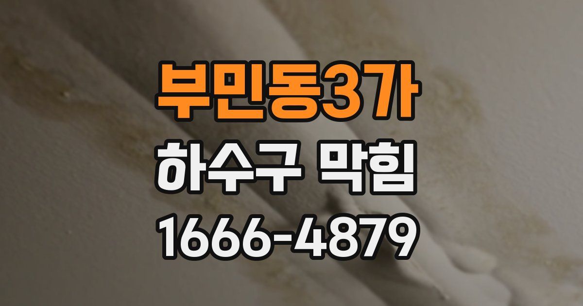 부민동3가 하수구 막힘