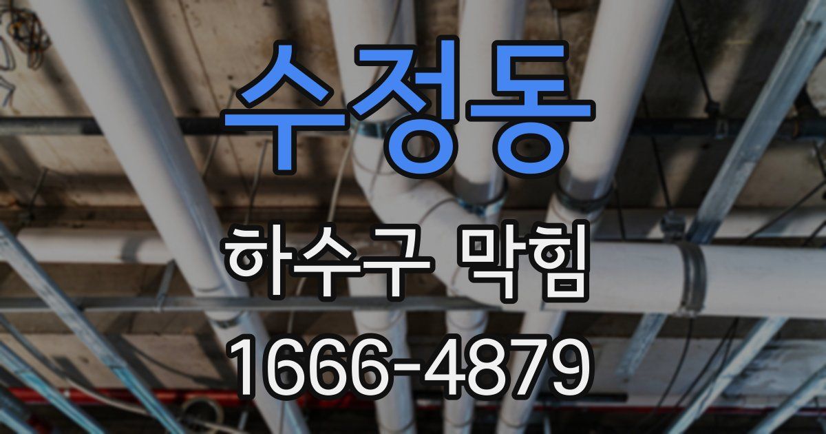 수정동 하수구 막힘