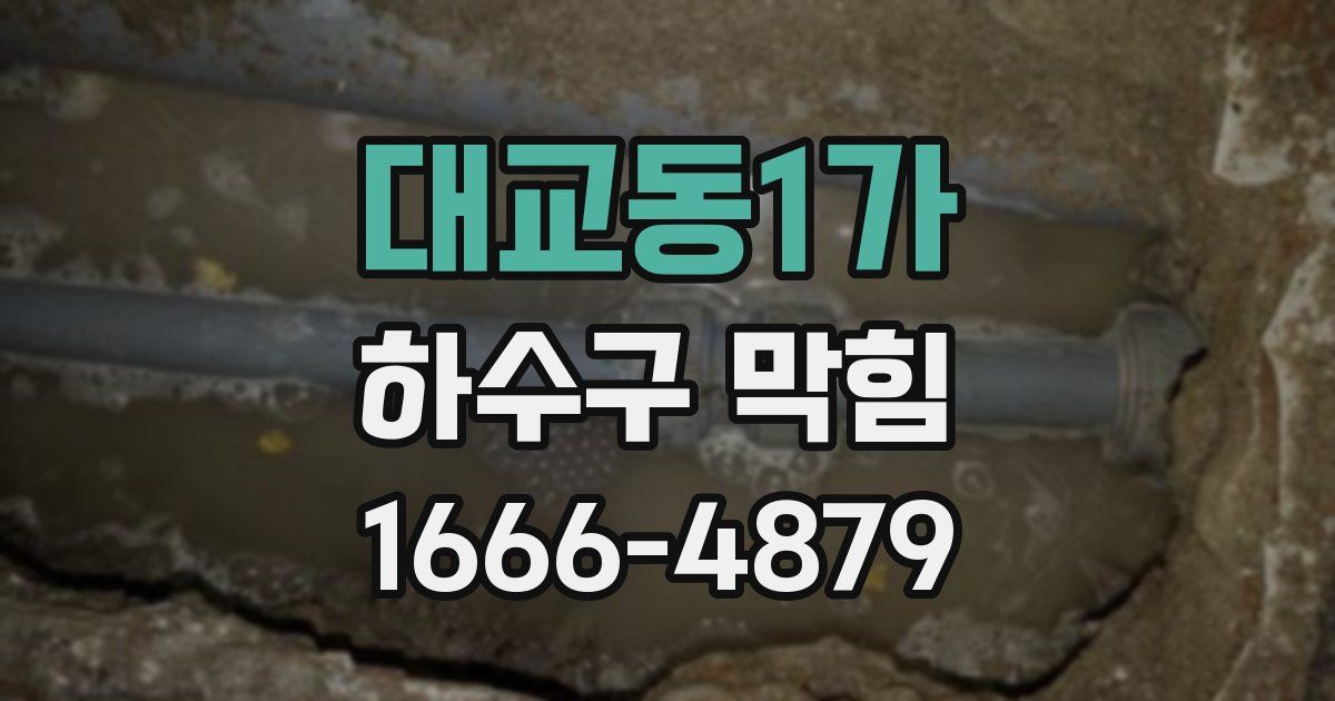대교동1가 하수구 막힘