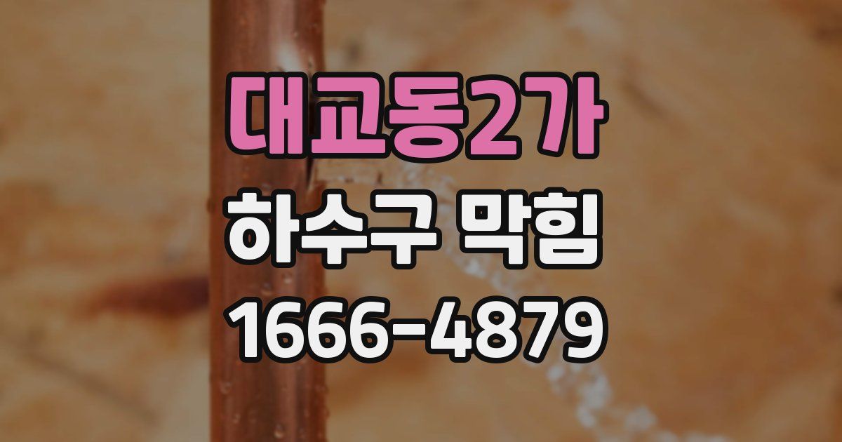 대교동2가 하수구 막힘