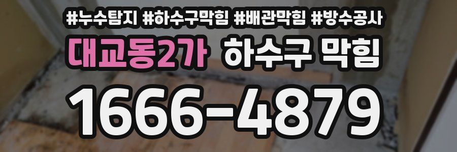 대교동2가 하수구 막힘