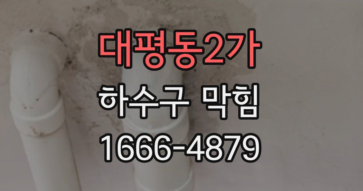 대평동2가 하수구 막힘