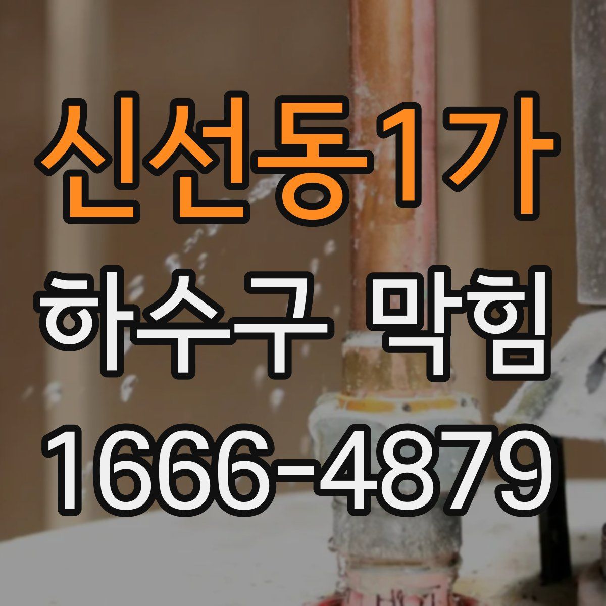 신선동1가 하수구 막힘