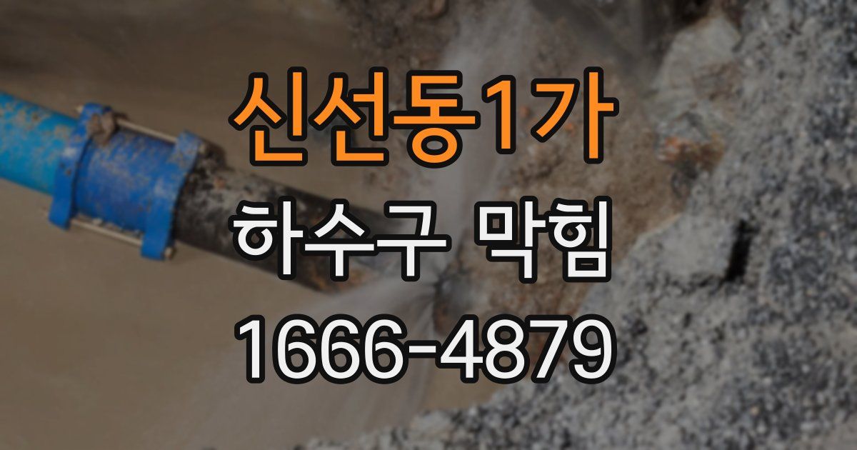 신선동1가 하수구 막힘