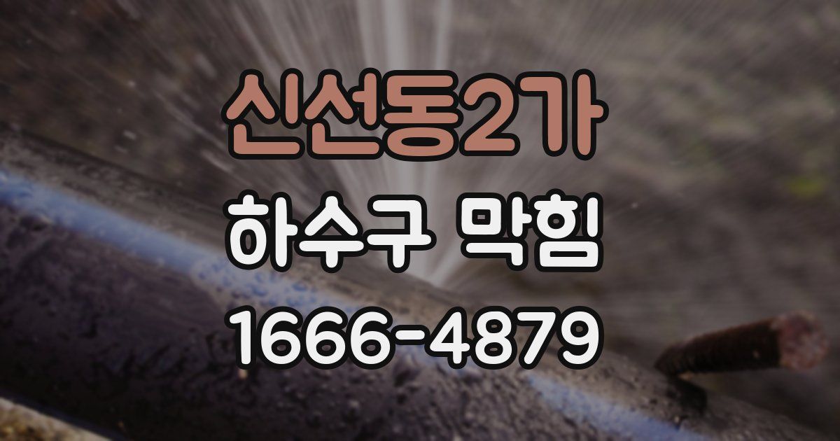 신선동2가 하수구 막힘