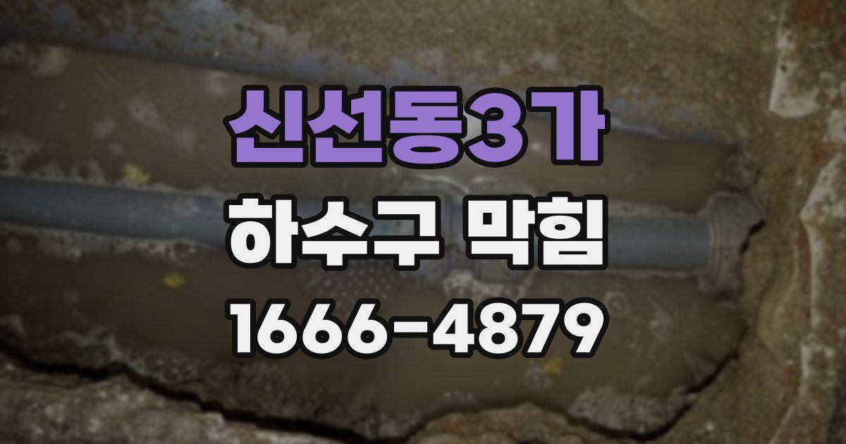 신선동3가 하수구 막힘