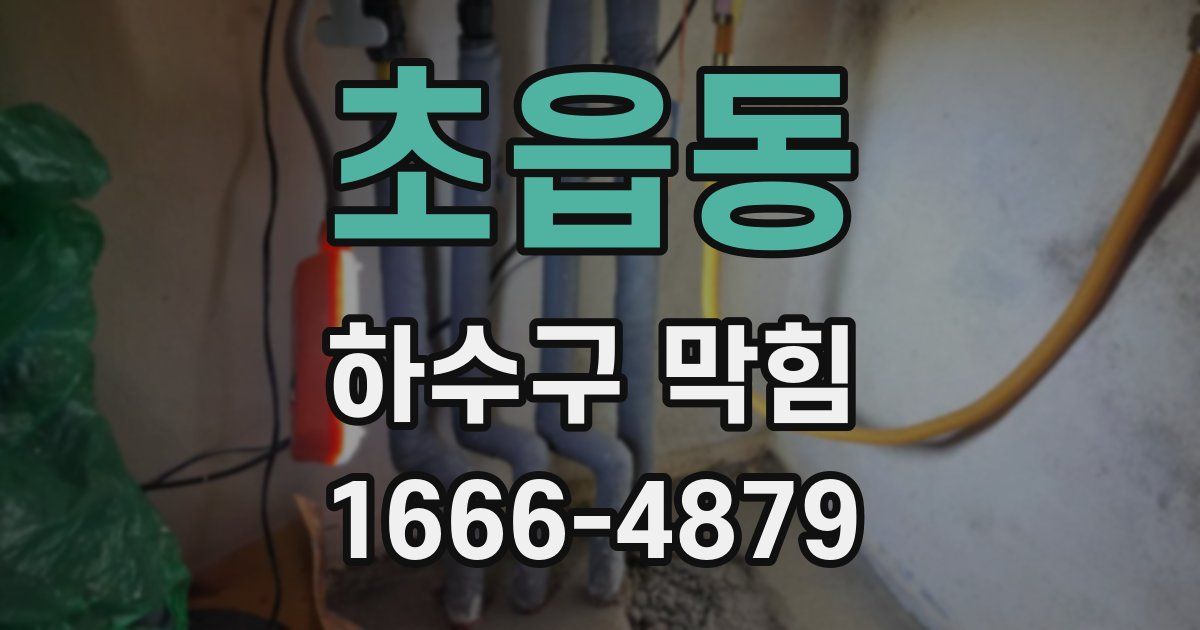 초읍동 하수구 막힘