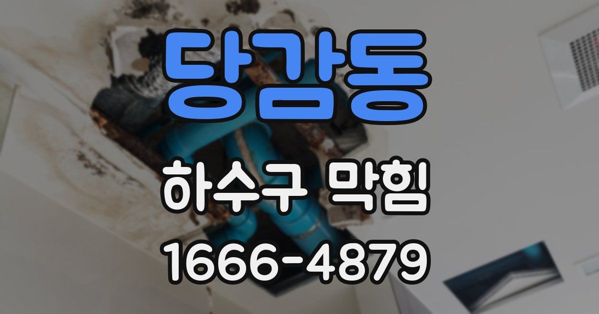 당감동 하수구 막힘