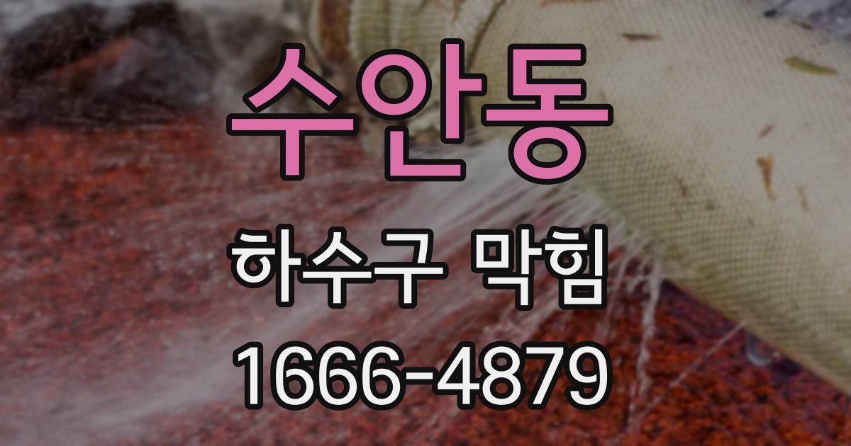 수안동 하수구 막힘