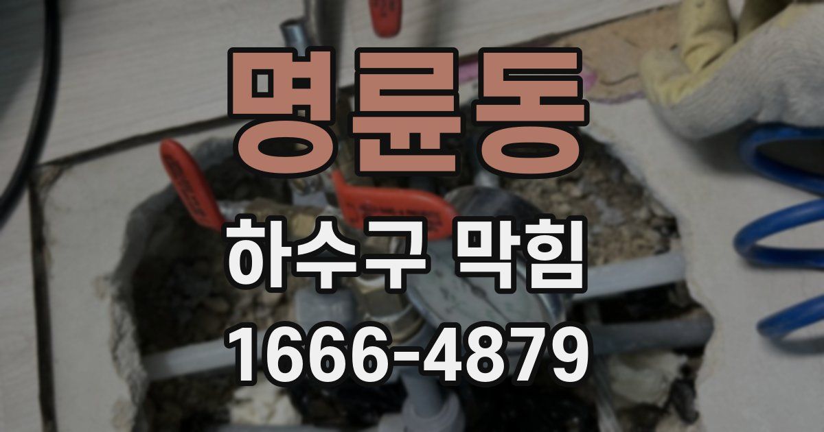 명륜동 하수구 막힘