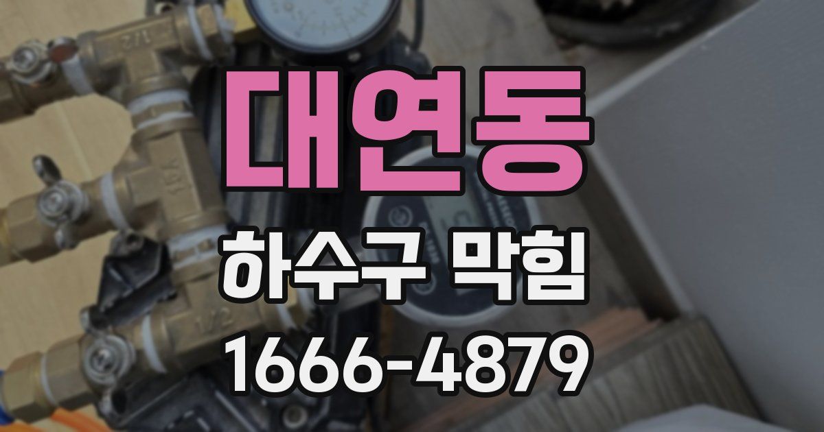 대연동 하수구 막힘
