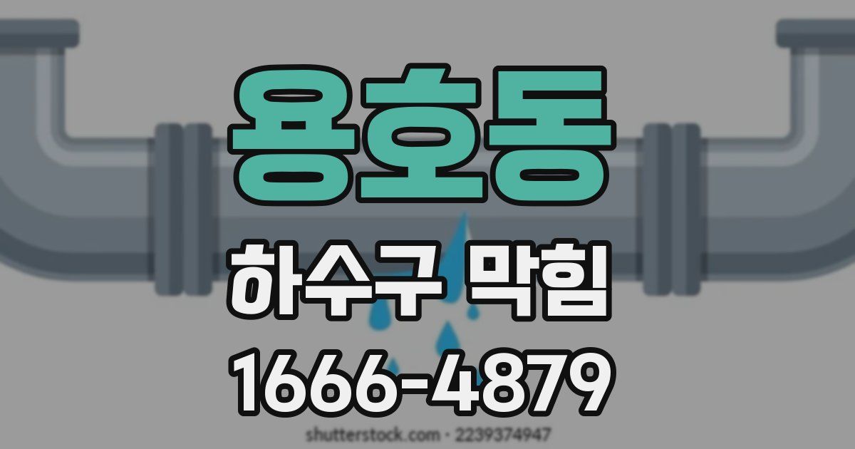 용호동 하수구 막힘